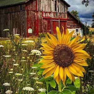 Meet your Posher, Carolyn